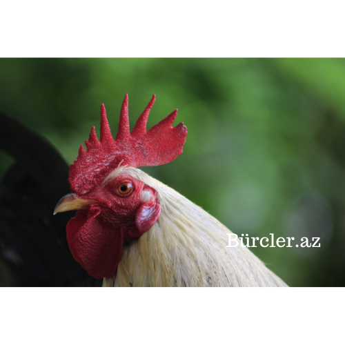 Vêtements femme Mango en ligne  ZALANDO